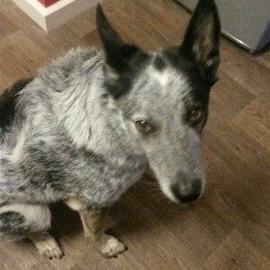 Profile Picture of pyper mitchell (@pyperm05) on Tiktok