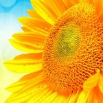 Profile Picture of Marlene (@marlene_witt) on Instagram