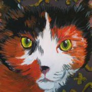 Christine Cowgill - Pinterest Profile Picture of Christine Cowgill (@chryssie33) on Pinterest