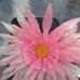 Profile Picture of Darin Ball (@darin.ball.505) on Facebook