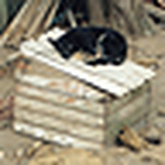 Zacarías Miler - Flickr Profile Picture of Zacarías Miler (@expertobal jur) on Flickr