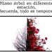 Profile Picture of Ale Mattio (@ale.mattio.75) on Facebook