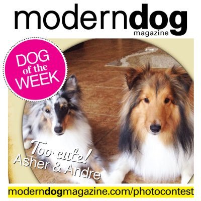 Profile Picture of Andre And Asher (@Andre_Asher) on Twitter
