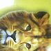 Profile Picture of Douglas Saint (@smith.douglas.520) on Facebook