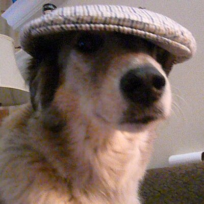 Profile Picture of Scott Plunkett (@splunk55) on Twitter