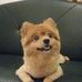 Profile Picture of Chung Mui Chiu (@chungmui.chiu) on Facebook