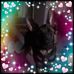 Profile Picture of Cathy Bashaw (@cathy.bashaw.37) on Facebook
