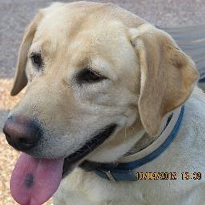 Profile Picture of Joe Stonecipher (@CoachStoney) on Twitter