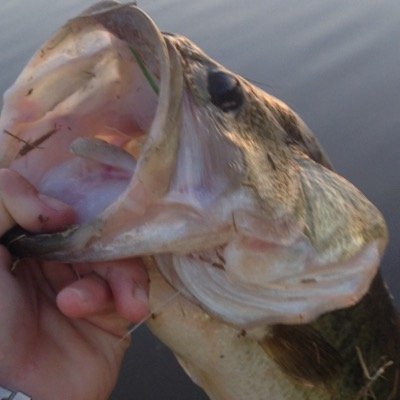 Profile Picture of Brett Hebert (@Brett_Hebert13) on Twitter