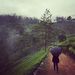 Profile Picture of Amy Greiner (@amykgreiner) on Pinterest