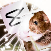 Profile Picture of Maya :D (@msmaya.papaya) on Youtube