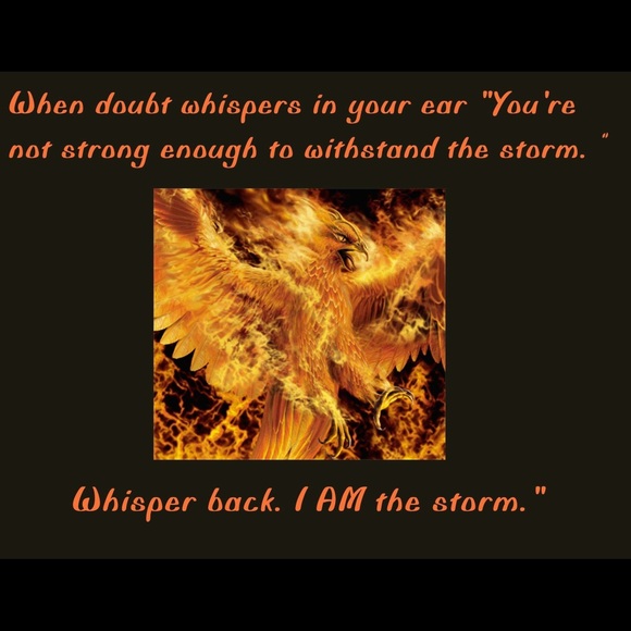 Profile Picture of Traci Rongstad (@trongstad) on Poshmark