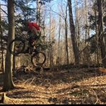 Chris Candee - Instagram Profile Picture of Chris Candee (@candeechris) on Instagram