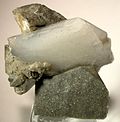 Profile Picture of Whewelliteon Wikipedia