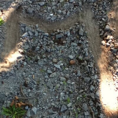 Profile Picture of Megan Renee Cates (@Bigtimelover134) on Twitter