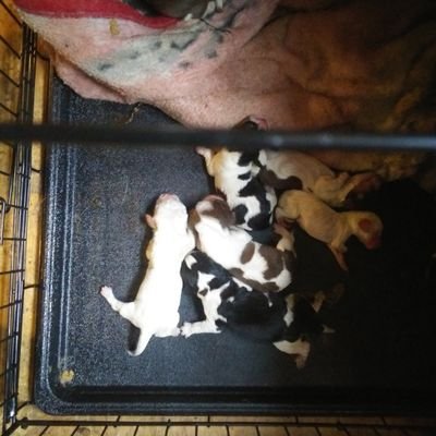 Randy Keesler - Twitter Profile Picture of Randy Keesler (@RandyKeesler2) on Twitter