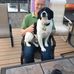 Profile Picture of Larry DiMurro (@larry.dimurro) on Facebook