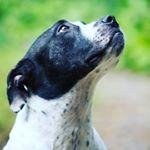 Profile Picture of Richard Wilcher (@luraenza824) on Instagram