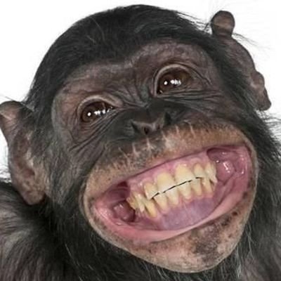 Profile Picture of Felipe Faria (@Felipefaria013) on Twitter