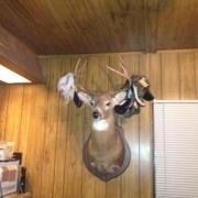 Profile Picture of Jerry Hickingbottom (@jerry.hickingbottom.1) on Myspace