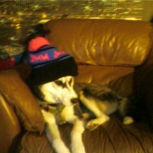 Profile Picture of Alvaro Pezoa (@fingerbanger) on Myspace