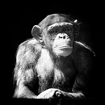 Profile Picture of John Griffiths (@Griff~ography) on Flickr
