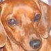 Profile Picture of kevin wofford (@kevinwofford45) on Pinterest