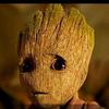 Profile Picture of Colin Moller (@@colinmoller8) on Tiktok