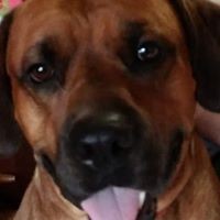 Profile Picture of Kelly Thibodeaux (@kelly-thibodeaux-2) on Quora
