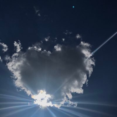 Profile Picture of Roy Haddad (@R0YHaddad) on Twitter