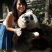 Profile Picture of Olivia Hsu (@oliviahaha) on Pinterest