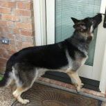 Profile Picture of Doris Penzek (@dorispenzek) on Pinterest