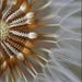 Profile Picture of Magali GERMAIN (@magaligermain) on Pinterest