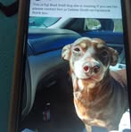 Profile Picture of Shelia Mullins (@shelia.mullins.250290) on Facebook