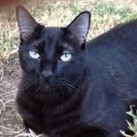 Profile Picture of curry_kris (@curry_kris) on Instagram