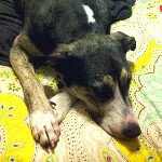 Profile Picture of Robert Andersen (@bobbyandersen) on Instagram