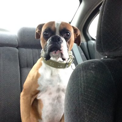 Profile Picture of Chris M (@CozzaSmg) on Twitter