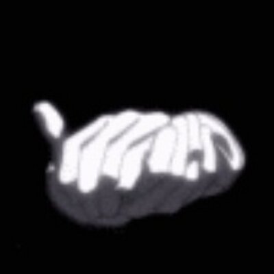 Fiona Mcguire - Twitter Profile Picture of Fiona Mcguire (@mcguireppen) on Twitter