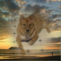 Profile Picture of Tammy Foster (@tammy-foster-30) on Quora