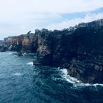 Profile Picture of Matthew Bradley (@matthew3bradley) on Instagram