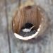 Profile Picture of Rita Keener (@ritakeener) on Pinterest