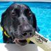 Profile Picture of Ralph Speicher (@Ralph-Speicher) on Facebook