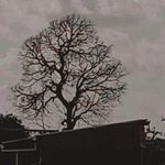 Profile Picture of Ranyelle Steffane Ranyelle (@ranysilva11) on Instagram