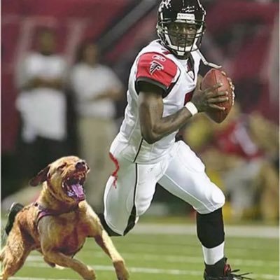 Mike Vicks Dog Pound - Twitter Profile Picture of Mike Vicks Dog Pound (@MikeVicksDogPo2) on Twitter