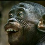 Profile Picture of Melissa Martindale (@melissasnow88) on Instagram