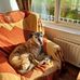 Profile Picture of Colette Campbell (@colette.campbell.50552) on Facebook