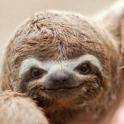 Profile Picture of Servando Ortiz (@orctiz) on Twitter