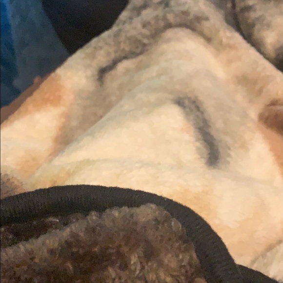 Profile Picture of Karlye Enkler (@karlyeenkler303) on Poshmark