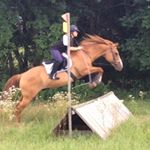 Profile Picture of Catherine Sutterfield (@wolfyyyyyyyy) on Instagram