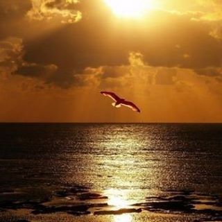 Profile Picture of Jimmy Mauricio (@jimmy.mauricio.14) on Facebook